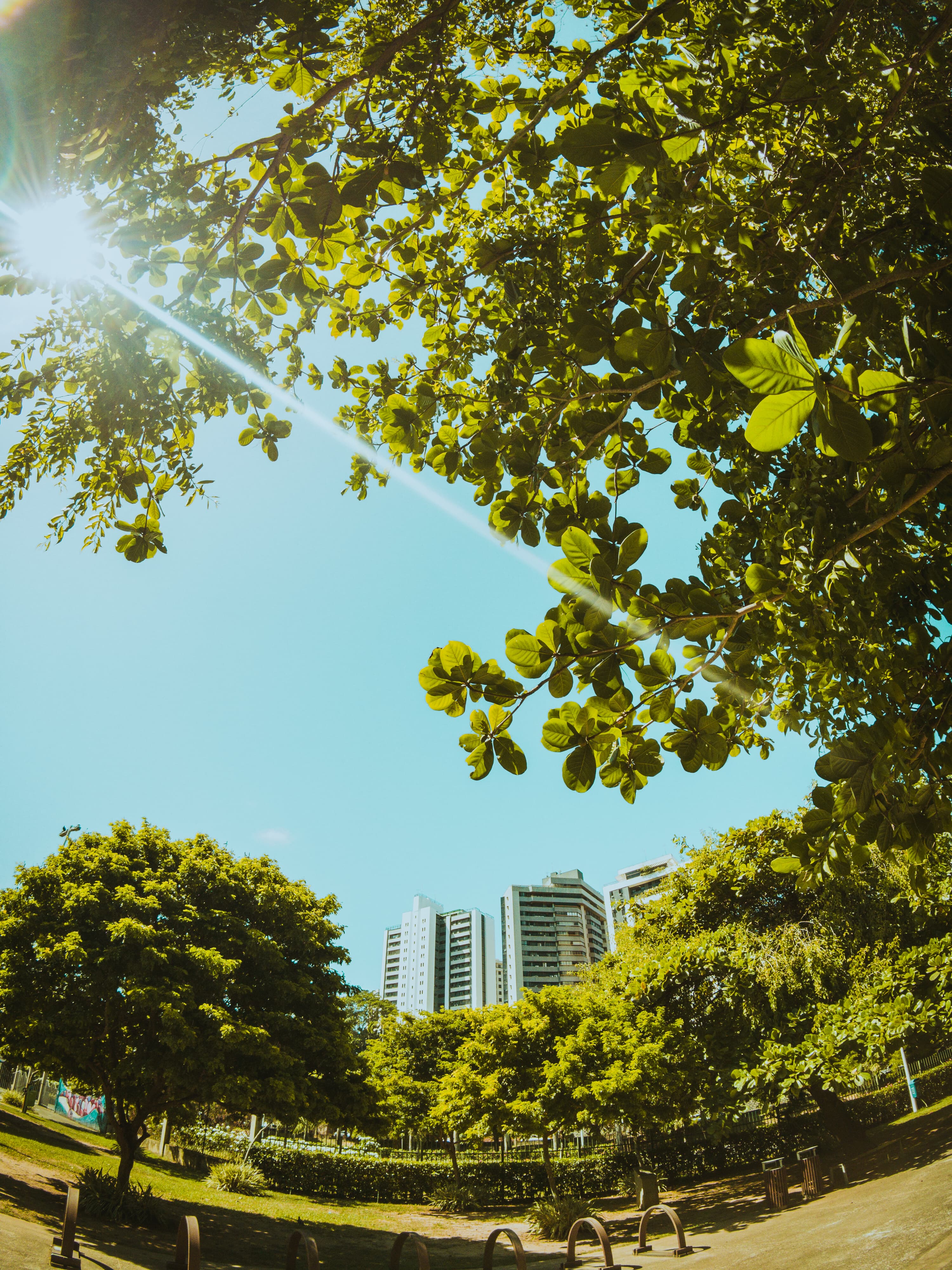 Sustentabilidade urbana